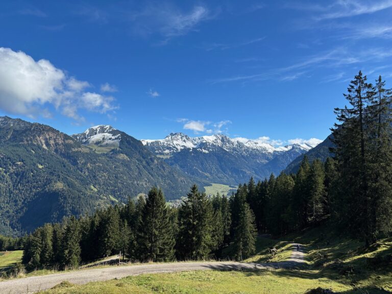 Wanderweg mit Bergpanorama bei Bad Hindelang